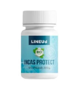 Incas Protect